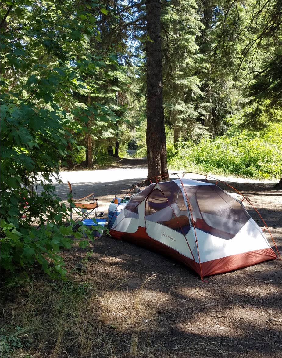 Shay F.'s photo at Icewater Creek Campground near Thorp, WA