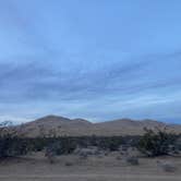 Review photo of Kelso Dunes Dispersed — Mojave National Preserve by cal K., January 17, 2023