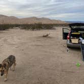 Review photo of Kelso Dunes Dispersed — Mojave National Preserve by Hannah  K., January 17, 2023