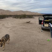 Review photo of Kelso Dunes Dispersed — Mojave National Preserve by Hannah  K., January 17, 2023