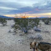 Review photo of Kelso Dunes Dispersed — Mojave National Preserve by cal K., January 17, 2023