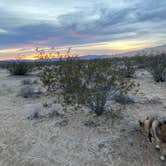 Review photo of Kelso Dunes Dispersed — Mojave National Preserve by cal K., January 17, 2023