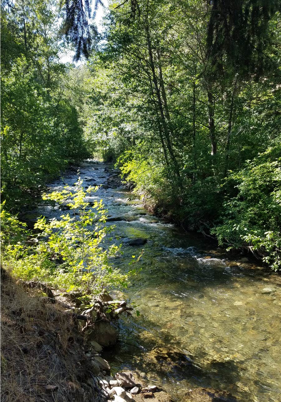 Camping near Riders Camp Campground: Icewater Creek Campground, South Cle Elum, Washington