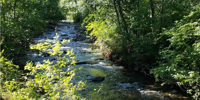 Camper submitted image from Icewater Creek Campground