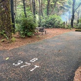 Review photo of Carl G. Washburne Memorial State Park Campground by Jess H., January 17, 2023