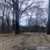 Review photo of Pine Grove Campground, Scott Co Park by James M., January 17, 2023