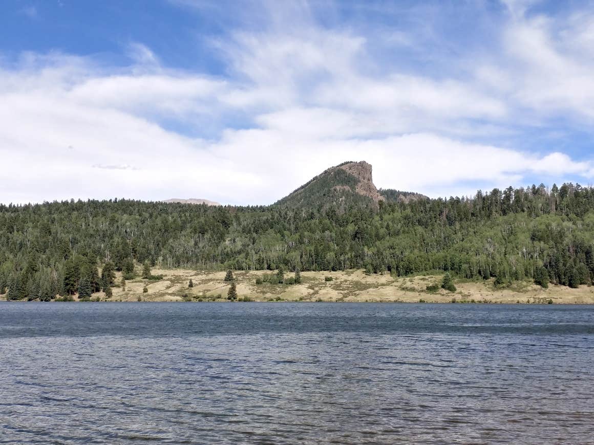 Camper-submitted photo at Teal Campground near Pagosa Springs, CO