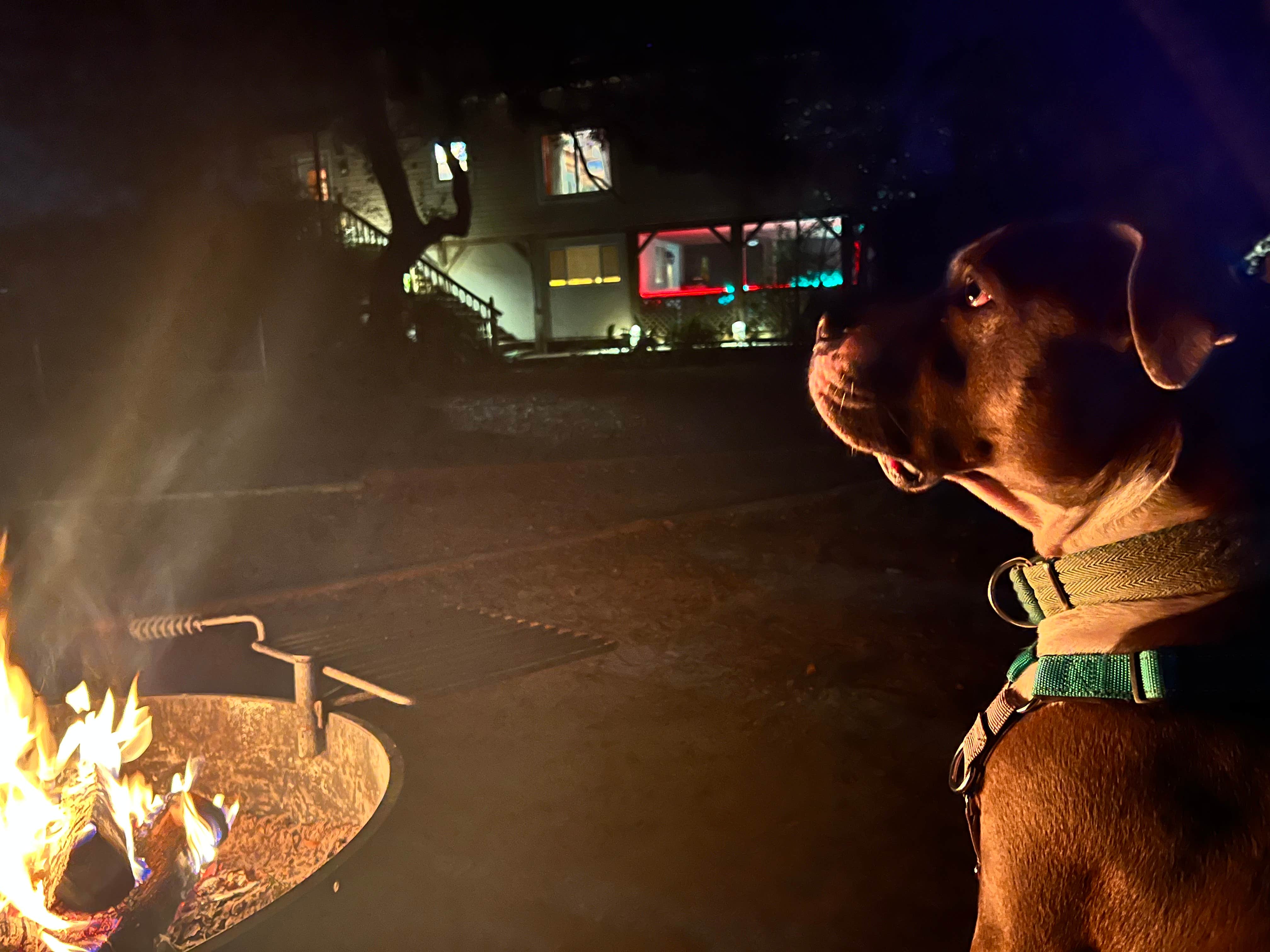 april P.'s photo of camping with pets at Canoe Outpost Little Manatee River near Lithia, FL