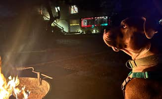 april P.'s photo of camping with pets at Canoe Outpost Little Manatee River near St. Petersburg, FL
