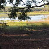 Review photo of Ordway-Swisher Biological Station by shirley D., September 28, 2018