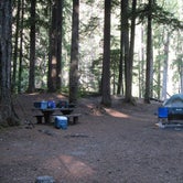 Review photo of Ohanapecosh Campground — Mount Rainier National Park by Shay F., September 28, 2018