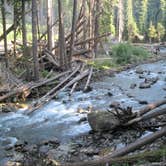 Review photo of Ohanapecosh Campground — Mount Rainier National Park by Shay F., September 28, 2018