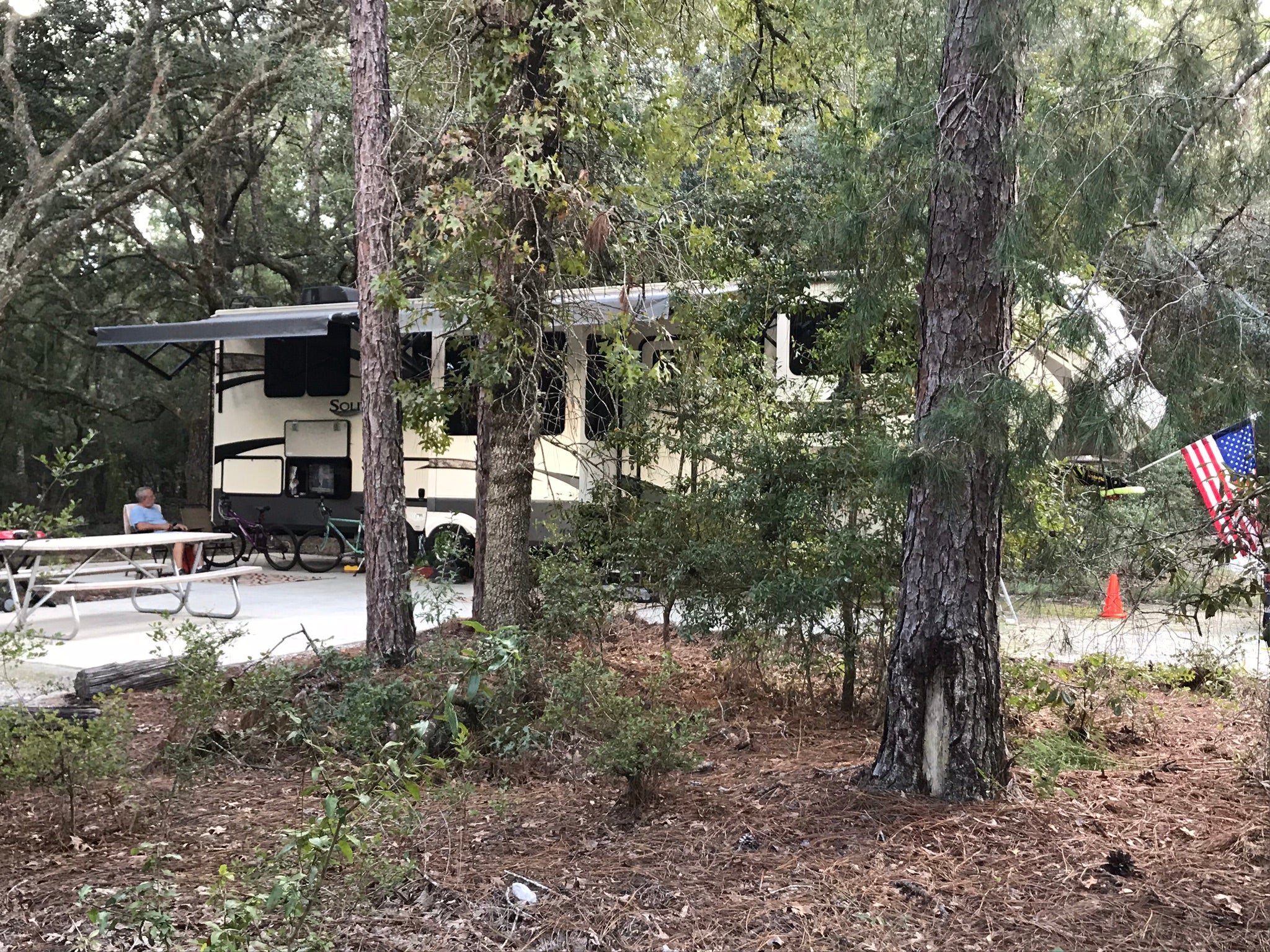 Camper submitted image from Ordway-Swisher Biological Station - 1