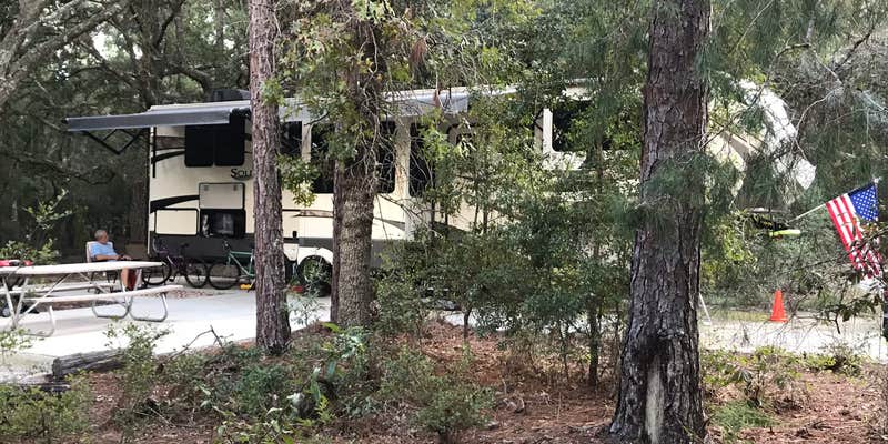 Camper submitted image from Ordway-Swisher Biological Station