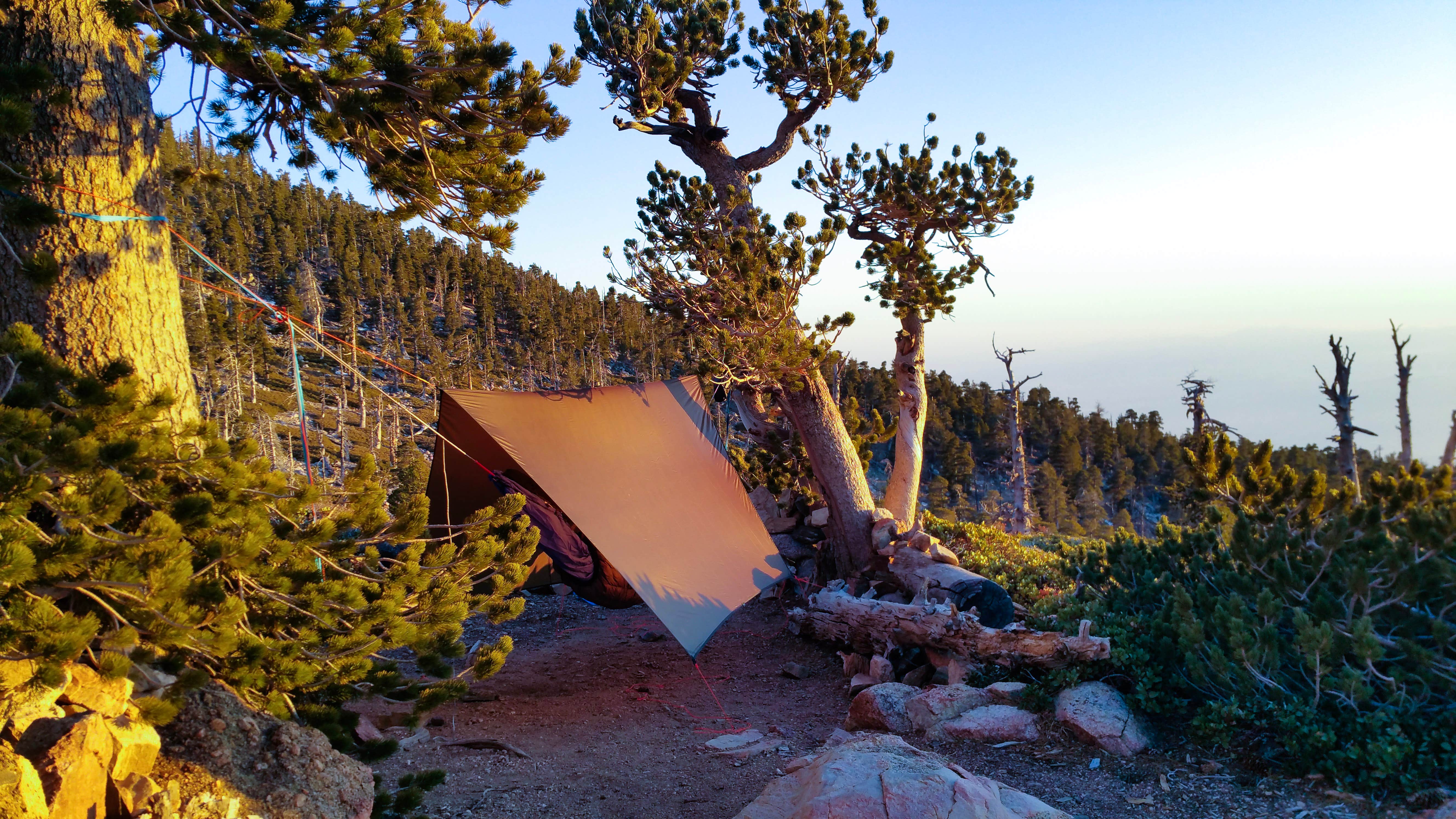 Camper-submitted photo at Limber Pine Bench Campground near Running Springs, CA