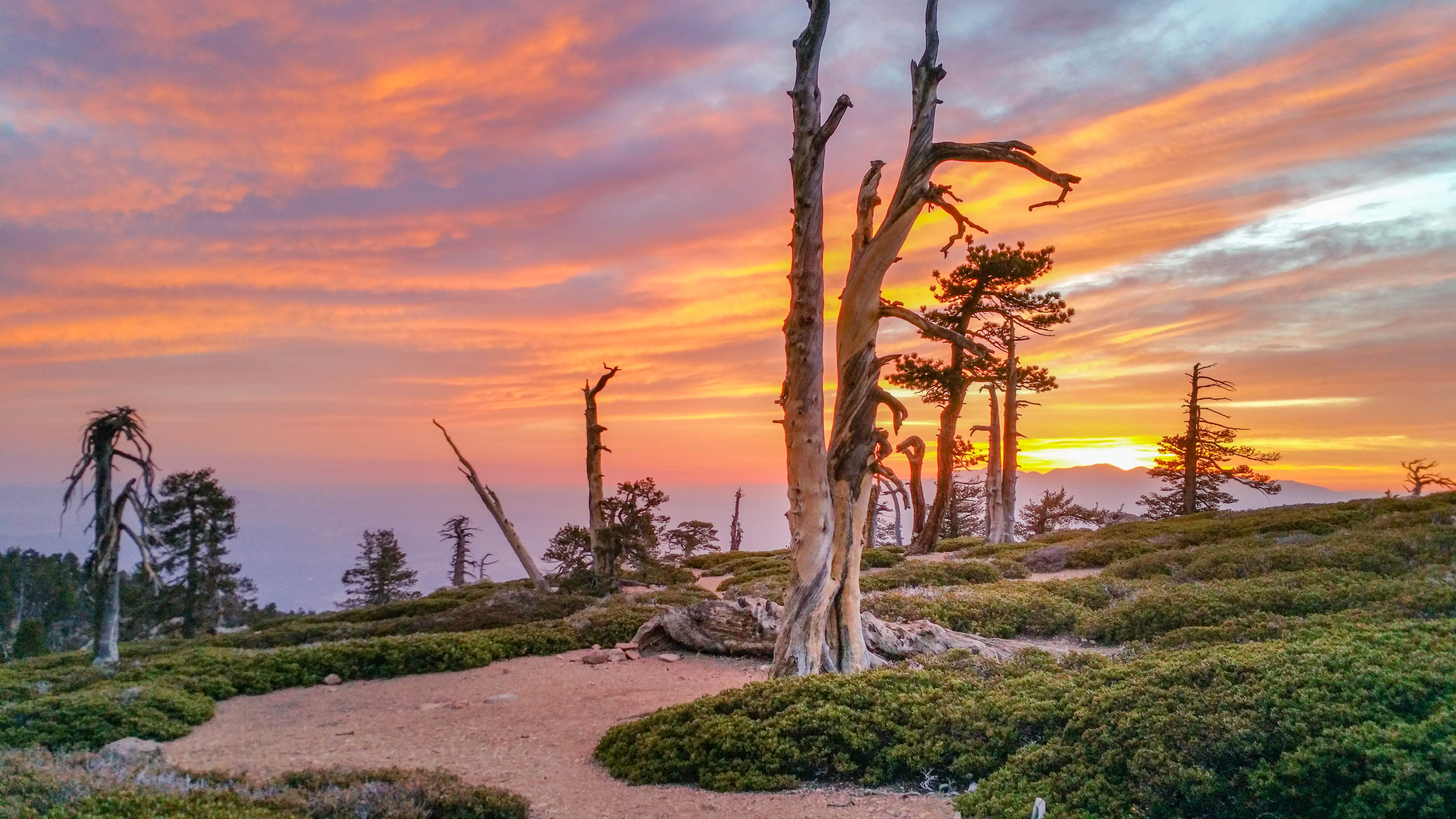 Camper-submitted photo at Limber Pine Bench Campground near Running Springs, CA