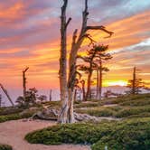 Review photo of Limber Pine Bench Campground by Daniel J., September 28, 2018