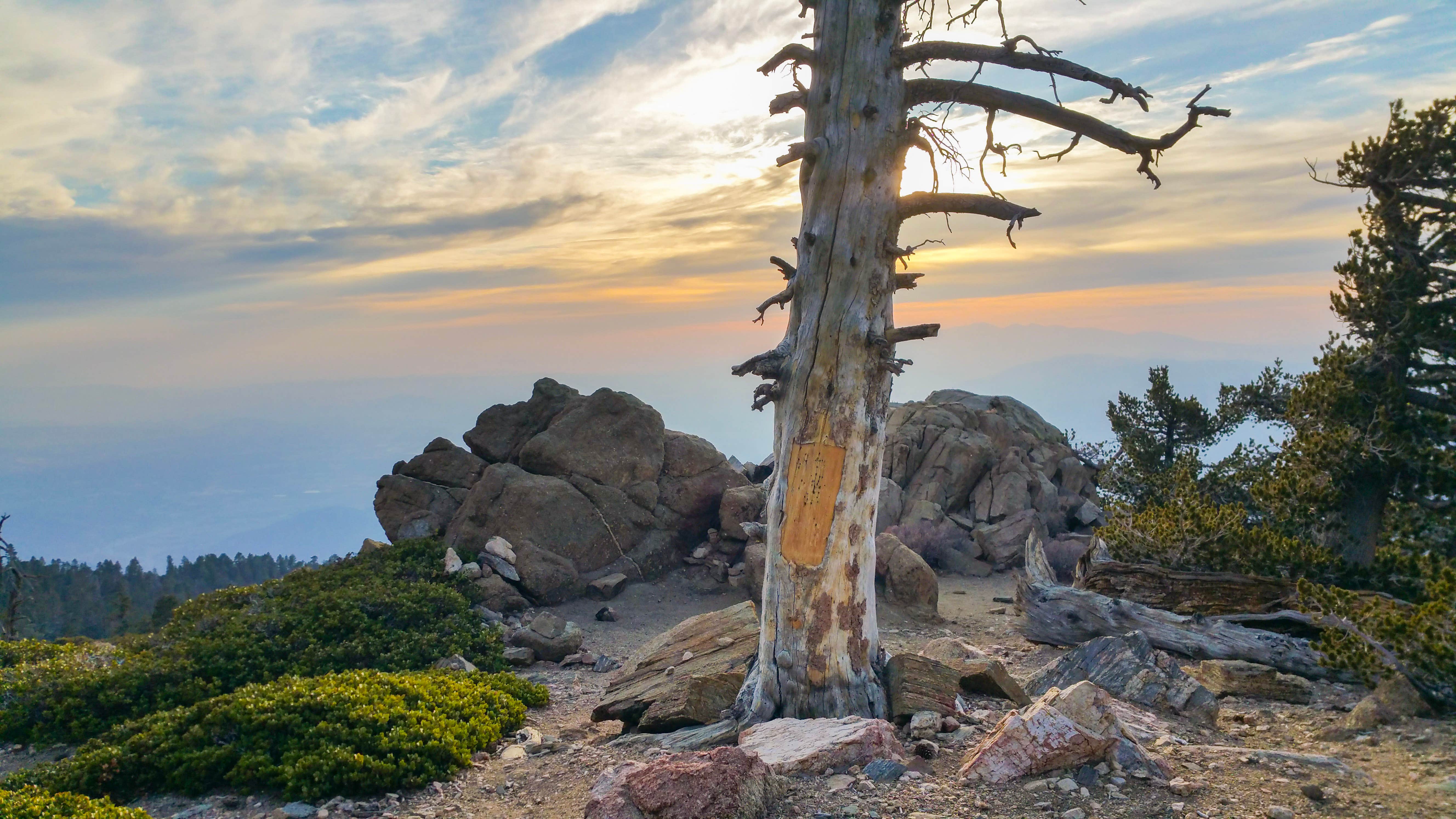 Camper-submitted photo at Limber Pine Bench Campground near Running Springs, CA
