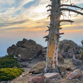 Review photo of Limber Pine Bench Campground by Daniel J., September 28, 2018