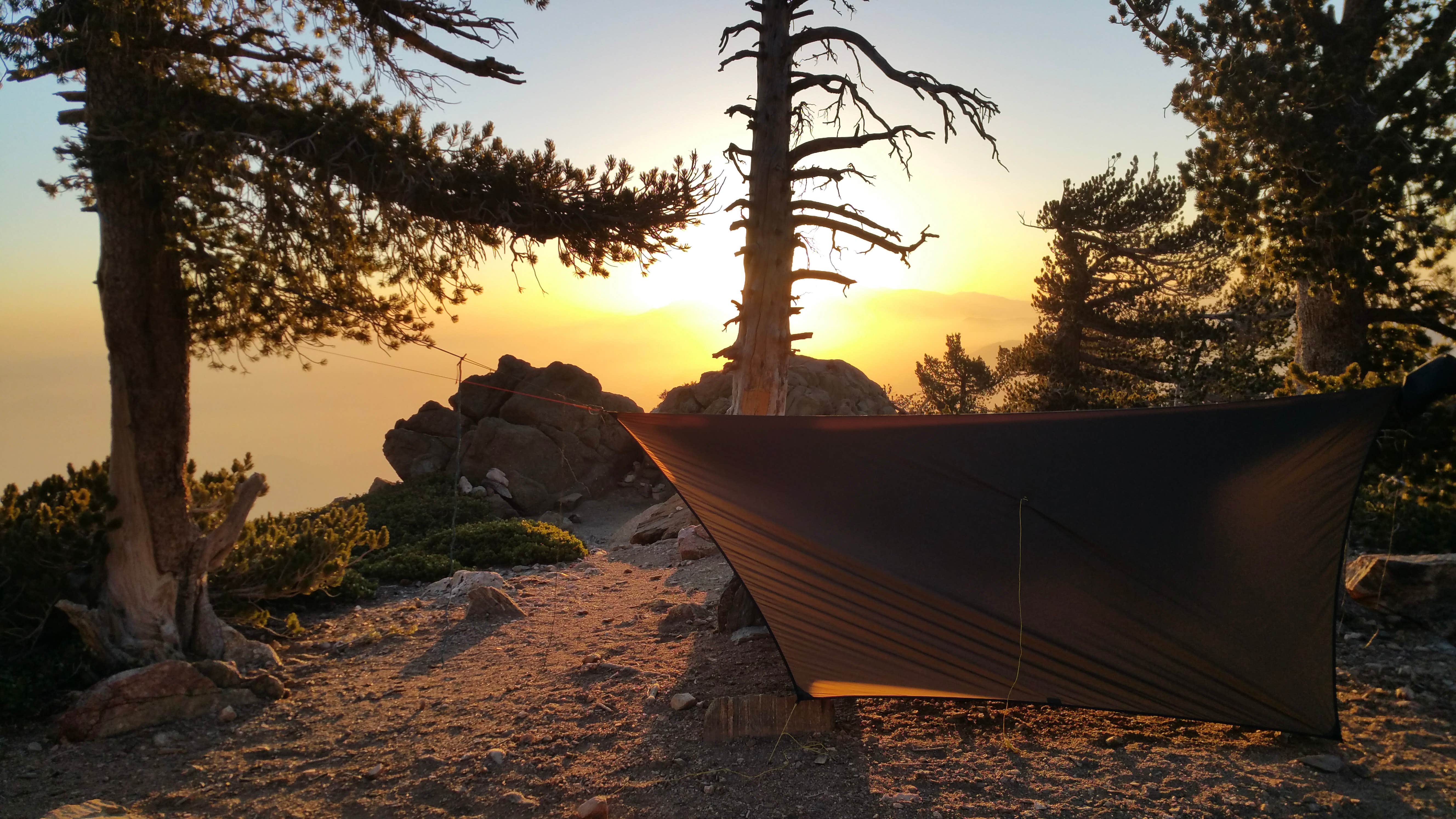 Camper submitted image from Limber Pine Bench Campground - 4