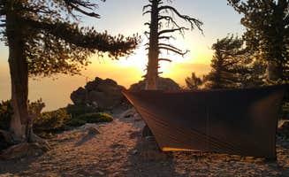 Daniel J.'s photo at Limber Pine Bench Campground near Forest Falls, CA