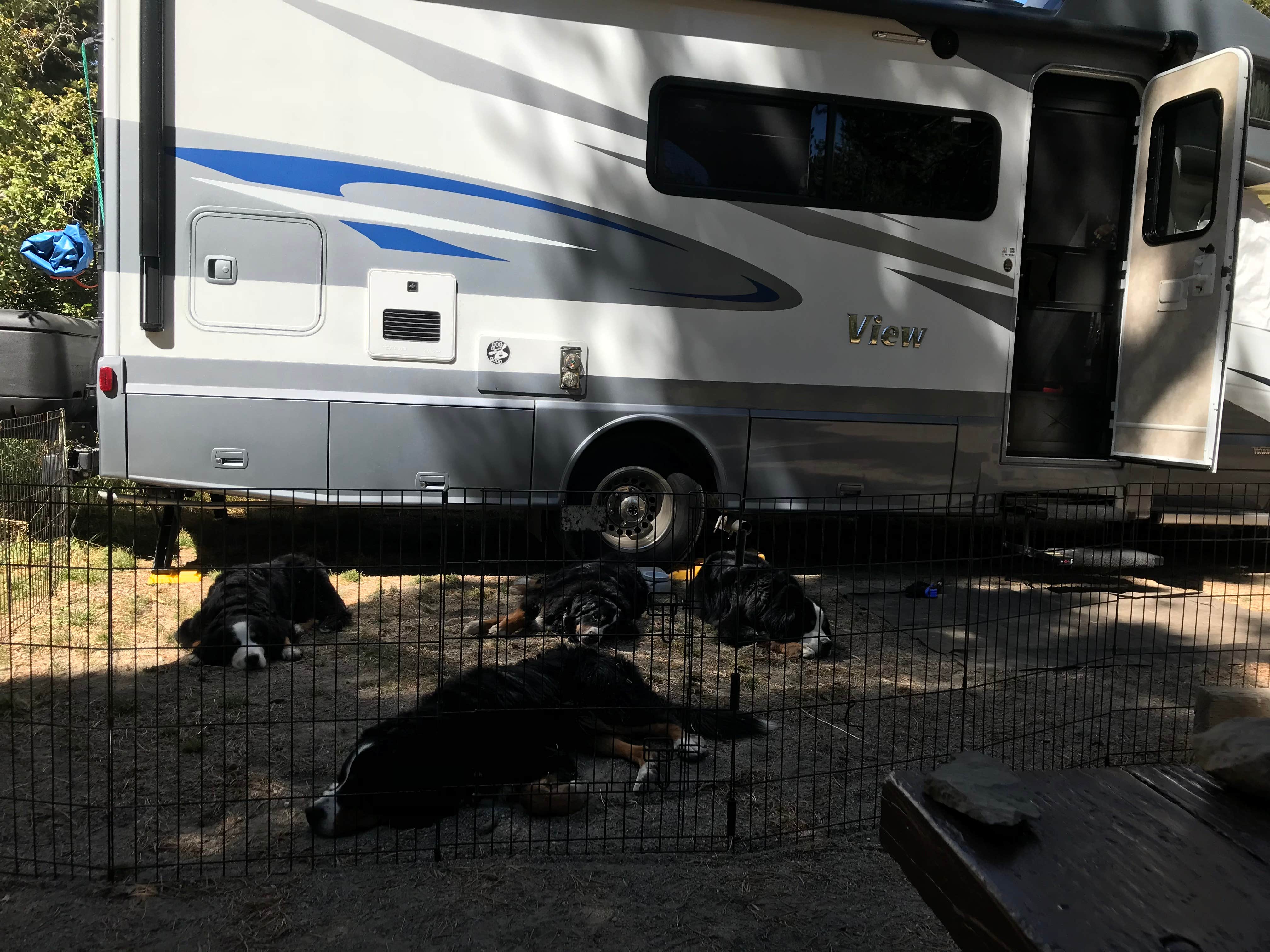Campsite number 9