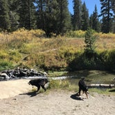 Review photo of Reds Meadow Campground by Sallie H., September 28, 2018
