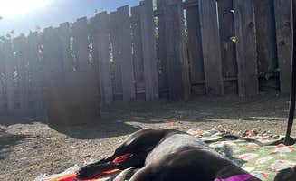 Care B.'s photo of camping with pets at Morro Dunes RV Park near Paso Robles, CA