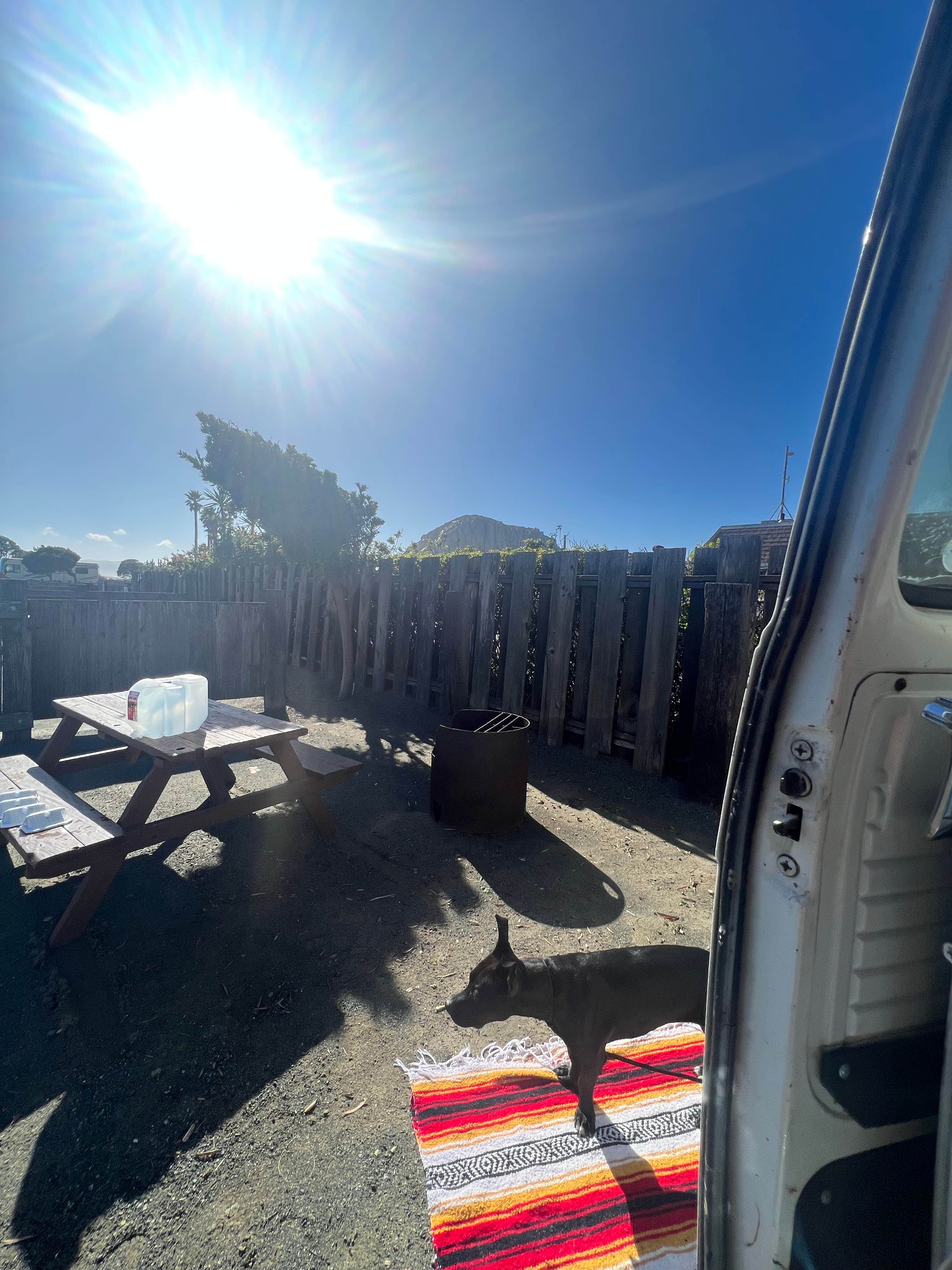 Care B.'s photo of camping with pets at Morro Dunes RV Park near Morro Bay, CA