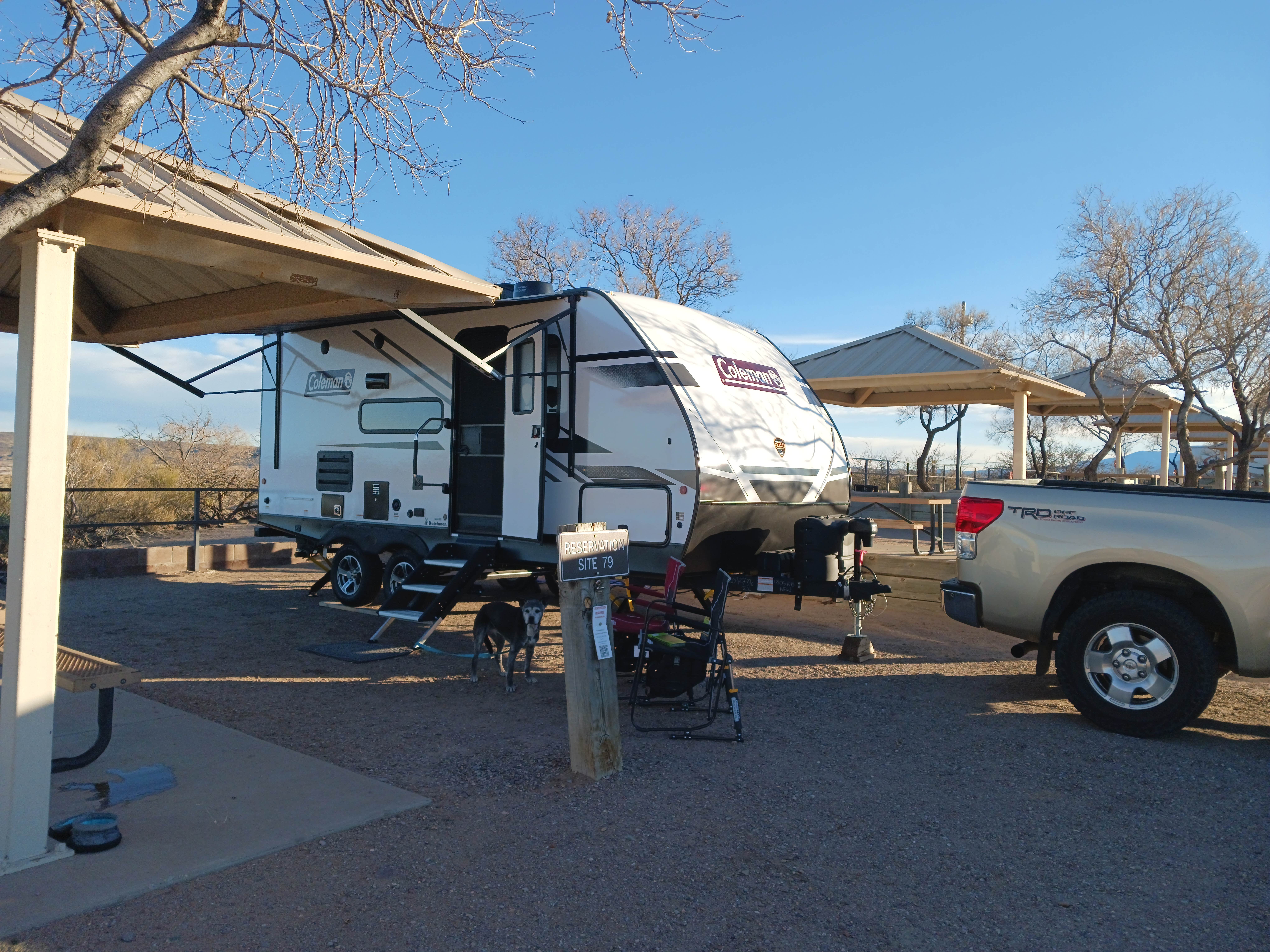 Eric L.'s photo of camping with pets at Lower Ridge Road Camping Area — Elephant Butte Lake State Park near Elephant Butte, NM