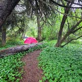 Review photo of Agate Campground — Sue-meg State Park by Mason W., January 18, 2023