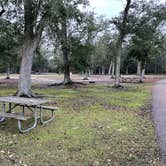 Review photo of Fontainebleau State Park Campground by Brett D., January 18, 2023