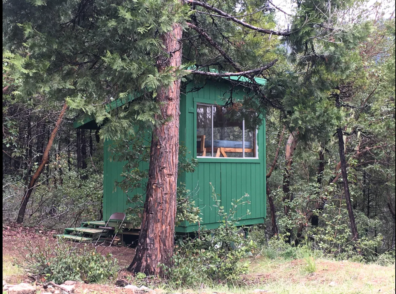 Ashley F.'s photo of a cabin at Sugar Pine Camp & Cabin near Hayfork, CA