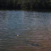 Review photo of Tugaloo State Park Campground by Janna S., September 28, 2018