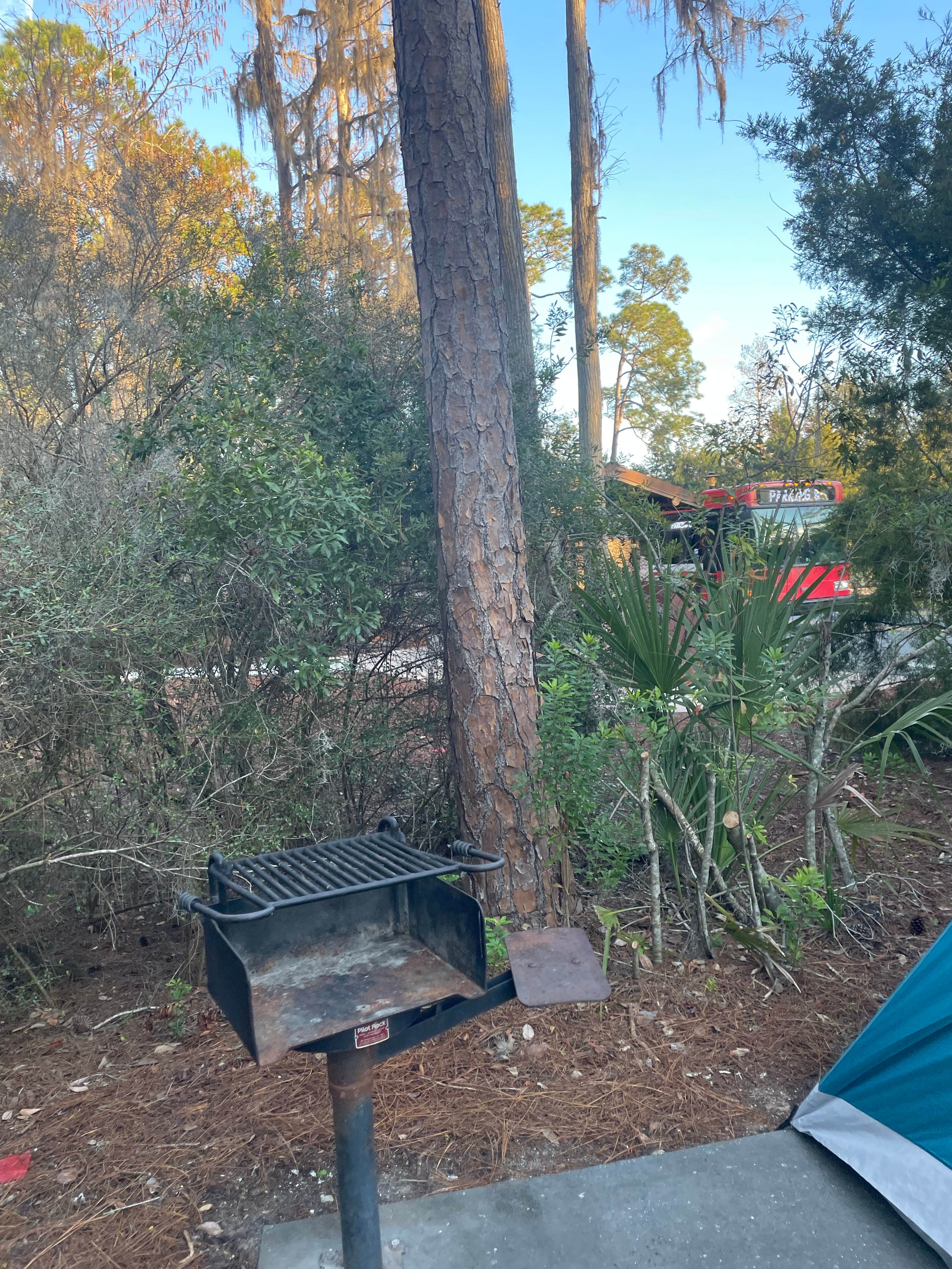 Jerry P.'s photo at Disney’s Fort Wilderness Resort & Campground near Clermont, FL