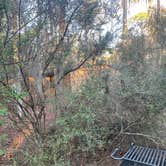 Review photo of Disney’s Fort Wilderness Resort & Campground by Jerry P., January 18, 2023