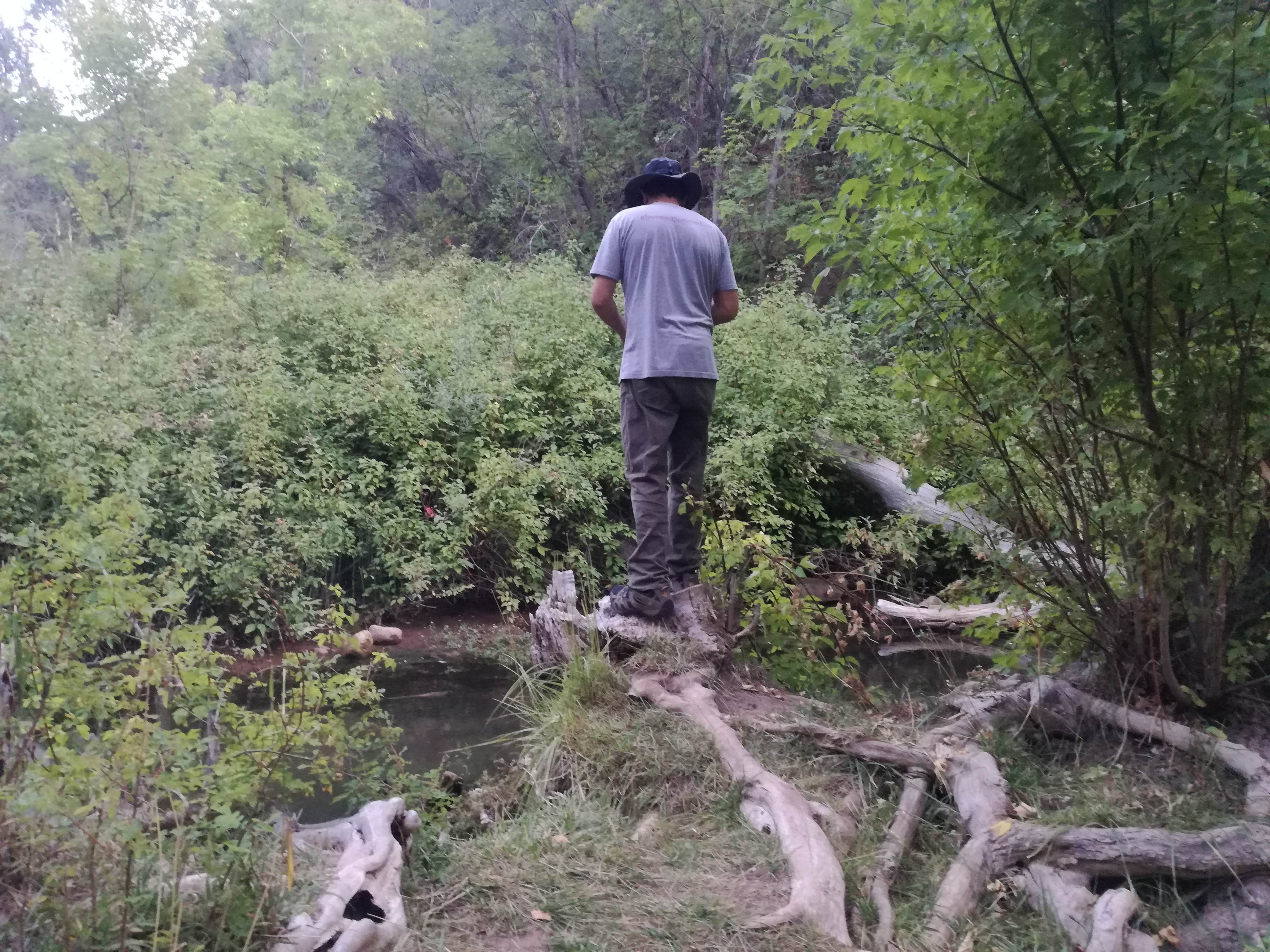 Adelaide Campground Fillmore, UT