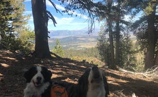 Sallie H.'s photo of camping with pets at Twin Lakes Campground near Mammoth Lakes, CA