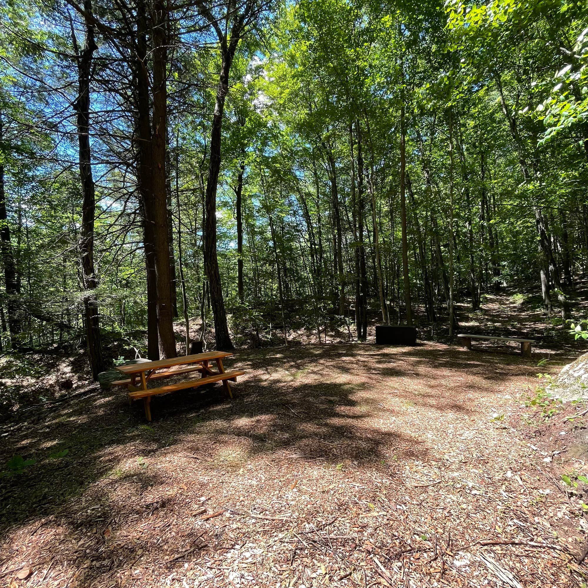 Camper submitted image from Foolhardy Hill - 1