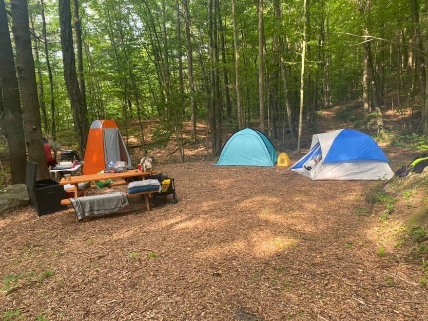 The Dyrt's photo of tent camping at Foolhardy Hill near Washington, MA