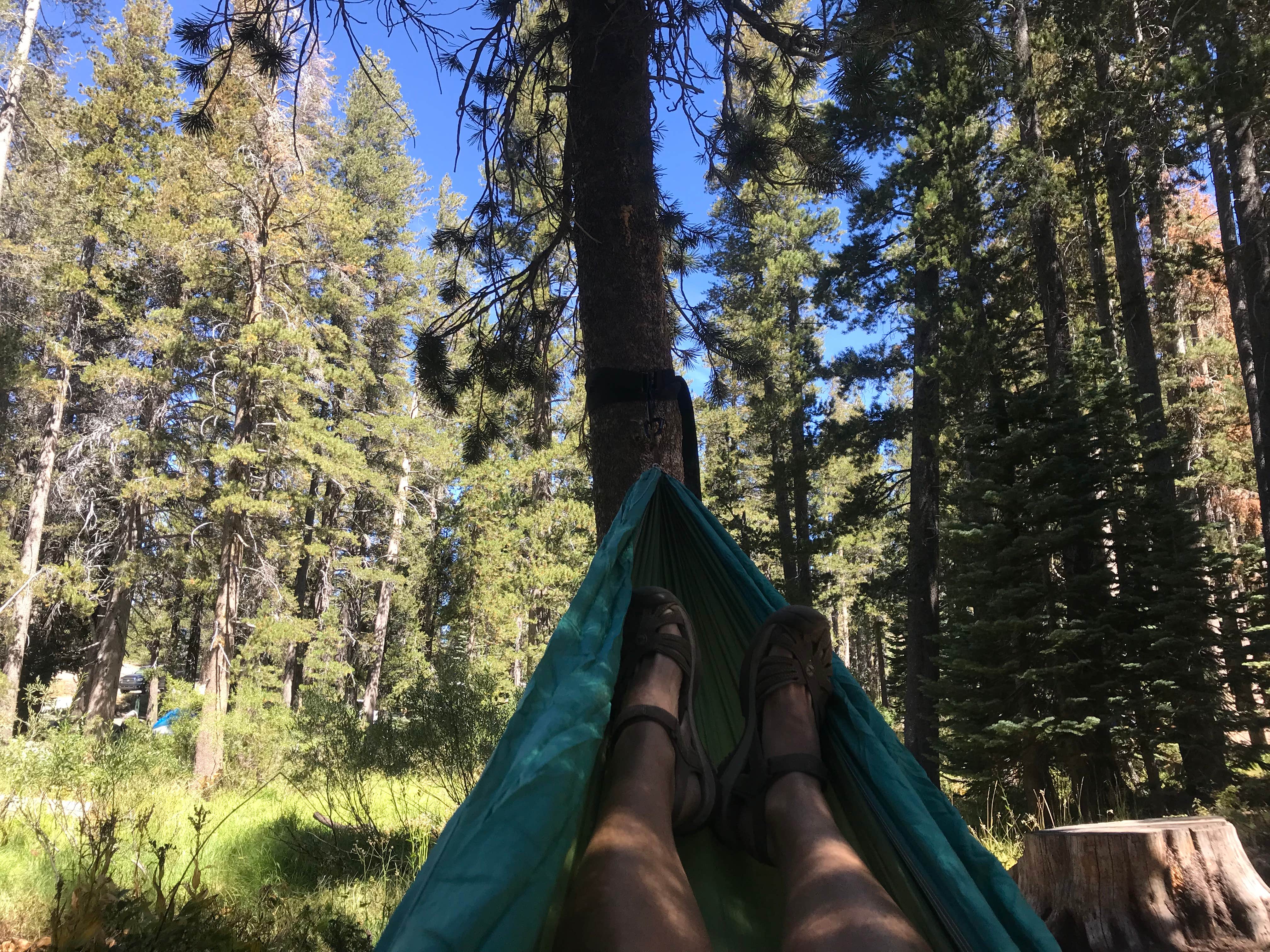 Hammock time
