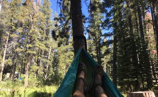 Sallie H.'s photo at Twin Lakes Campground near Devils Postpile National Monument