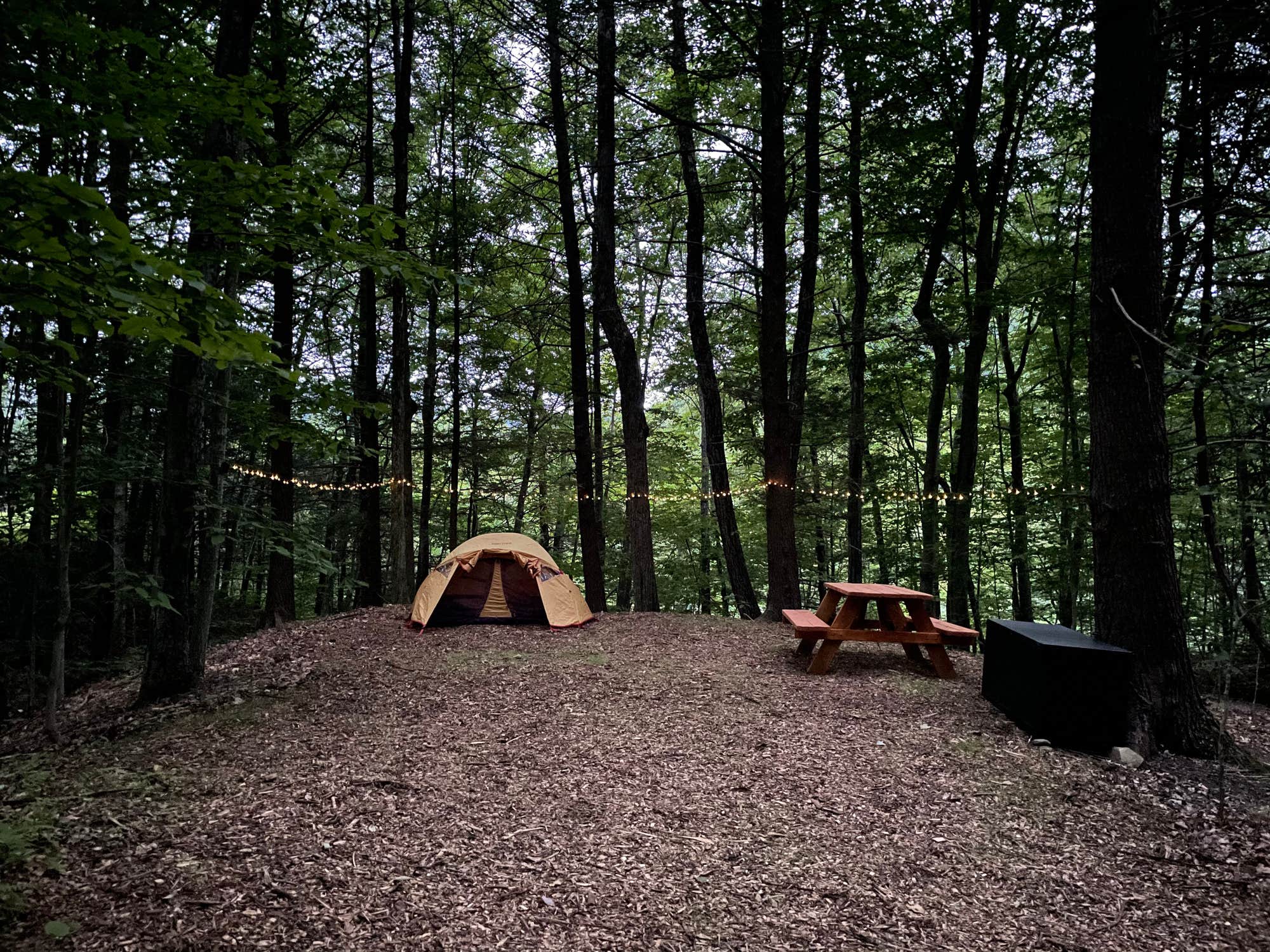 The Dyrt's photo of tent camping at Foolhardy Hill near West Brookfield, MA