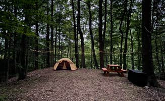The Dyrt's photo of tent camping at Foolhardy Hill near Tanglewood, MA