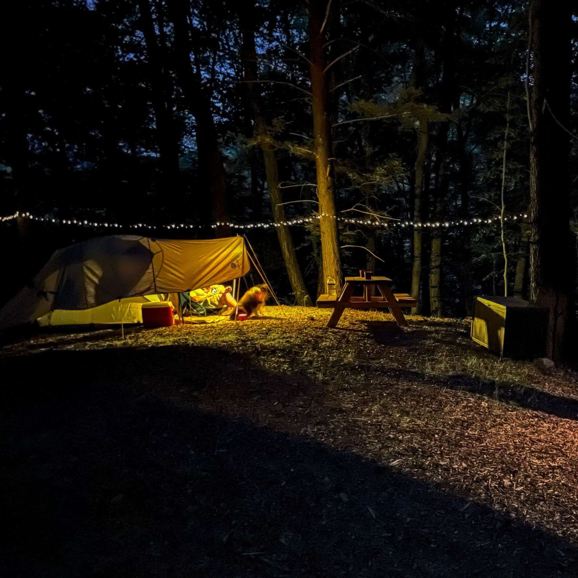 The Dyrt's photo of tent camping at Foolhardy Hill near Winchester, NH