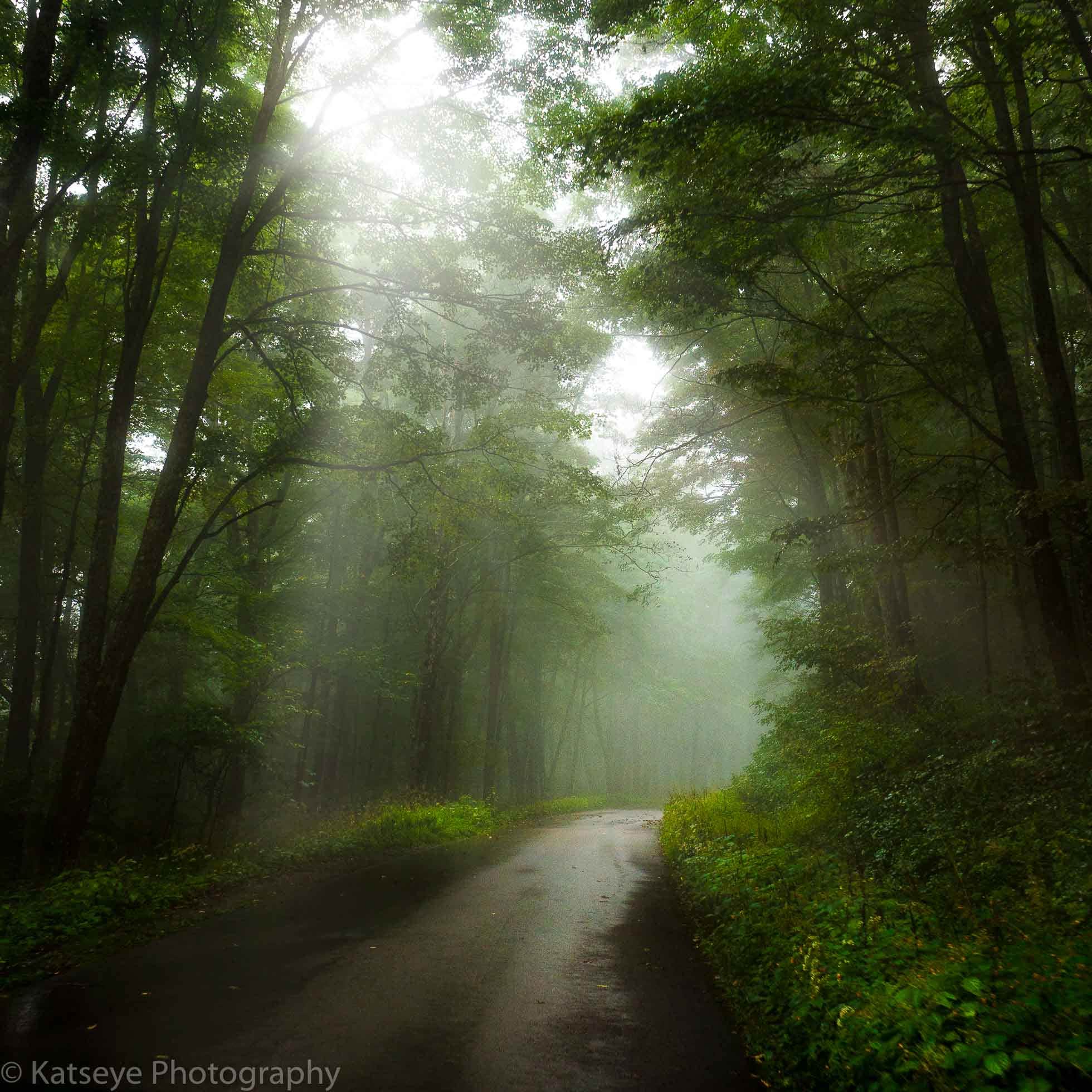 Camper submitted image from Spruce Knob Lake Campground - 3