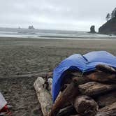 Review photo of Second Beach — Olympic National Park by Shay F., September 28, 2018