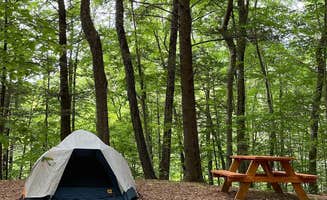 The Dyrt's photo of tent camping at Foolhardy Hill near Gilsum, NH