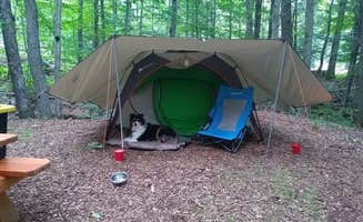 The Dyrt's photo of camping with pets at Foolhardy Hill near Ashfield, MA