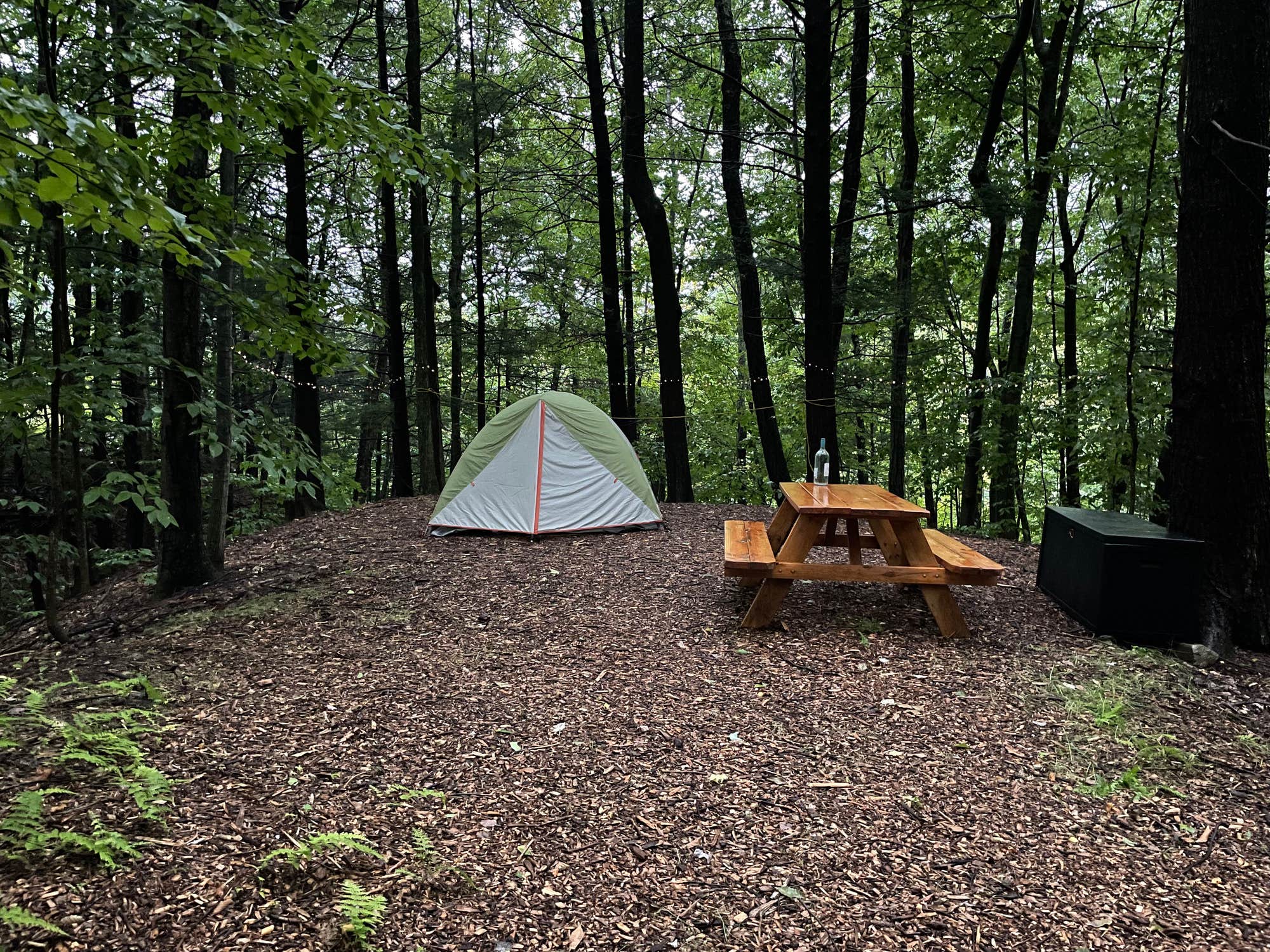 The Dyrt's photo of tent camping at Foolhardy Hill near Putney, VT